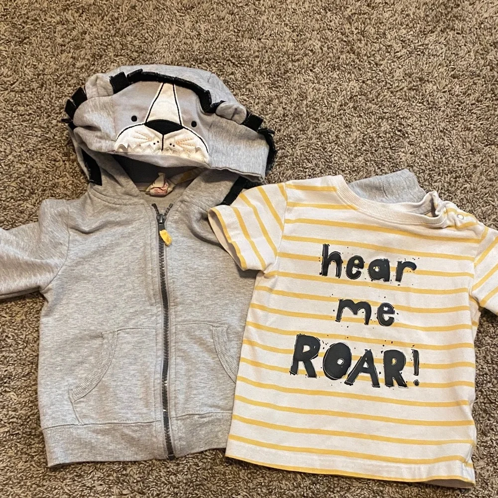 Rorie Whelan Lion Hoodie and T-shirt Set 24M